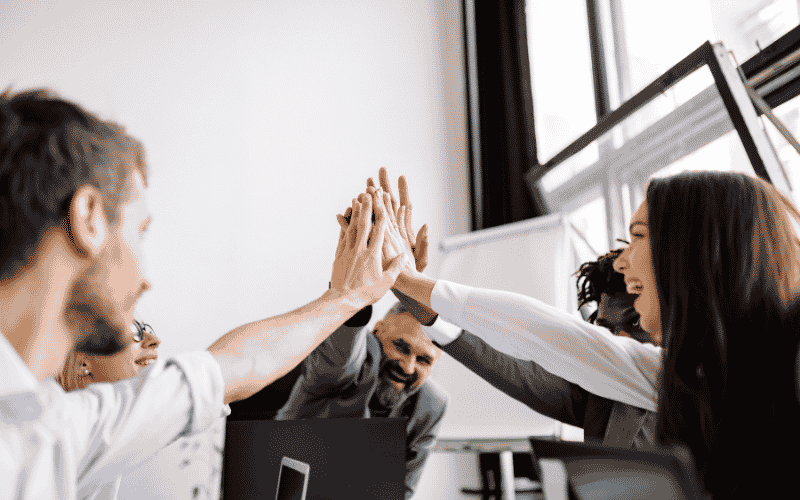 For Organizations Services